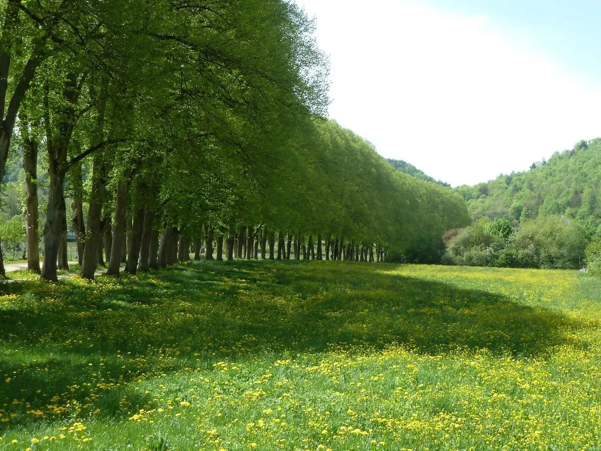 Ferienwohnung Zur Altmuehl Pappenheim 0*,  Germany